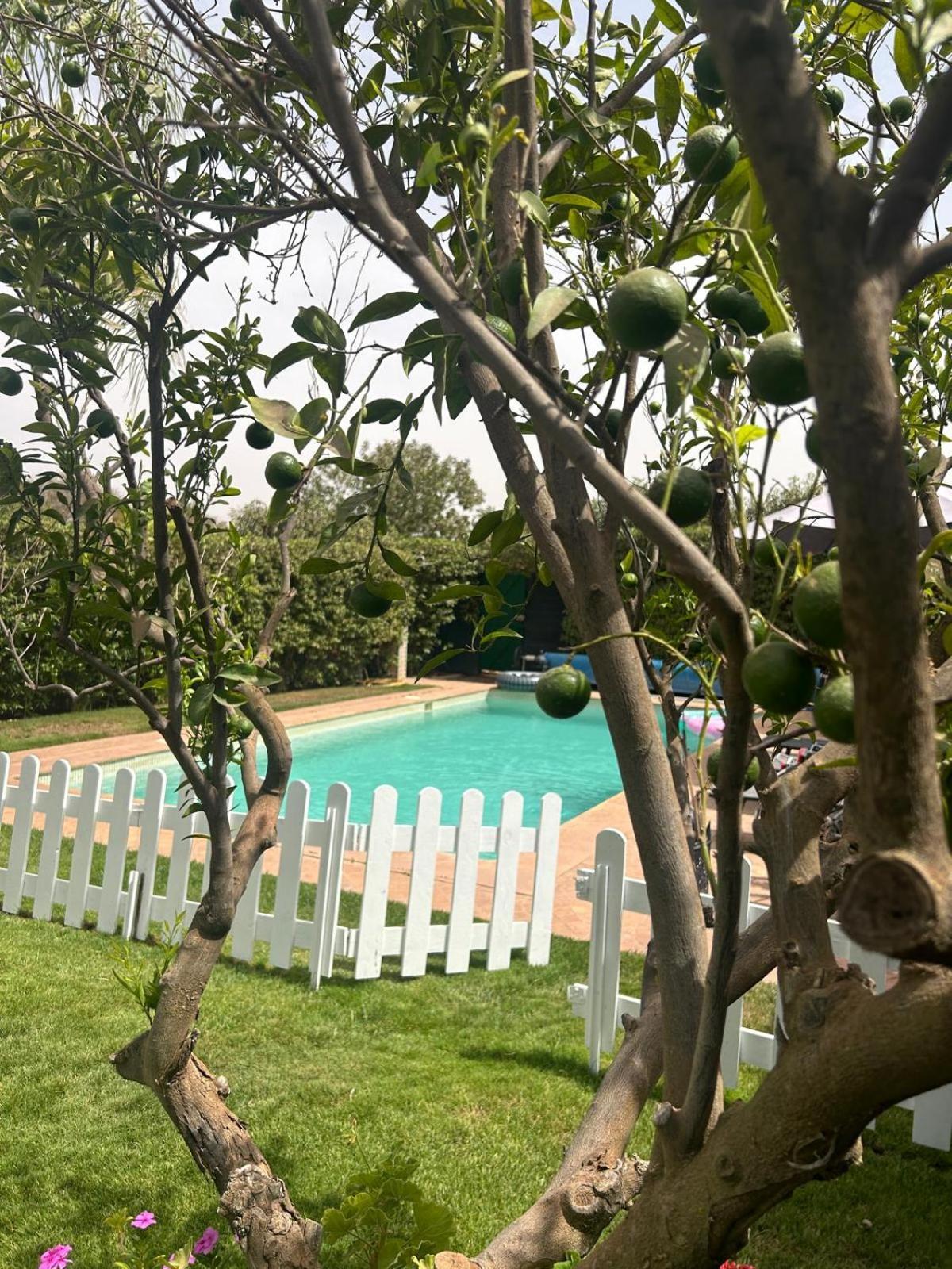 אגאדיר Villa Orangeraie מראה חיצוני תמונה